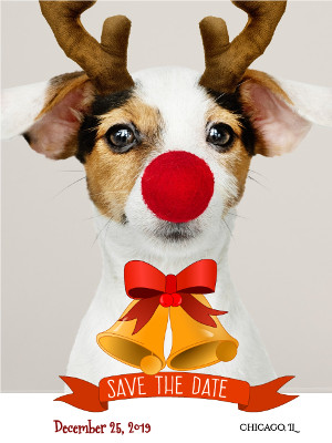 Reindeer Save the Date Holiday Card