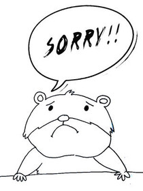 Sorry Sad Frog Apology Card