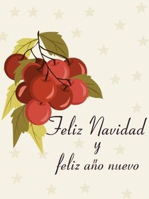 Spanish Christmas and New Year Greeting