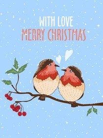 Robin Couple Christmas Card