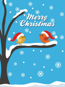 Merry Christmas Birds on Branch