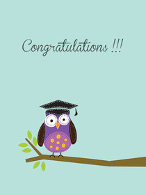 Graduation Congratulations Owl Card
