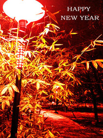 Happy New Year Fireworks