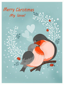Love Birds Christmas Card