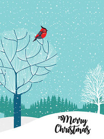 Winter Cardinal Christmas Greeting Card