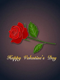 Happy Valentine's Day Rose Card