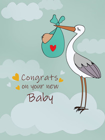 New Baby Stork Congratulations Card