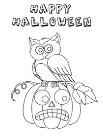 Happy Halloween Owl and Pumpkin