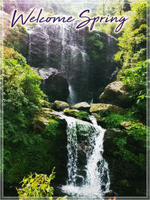 Welcome Spring Waterfall