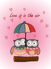 Love is in the Air Owl Couple