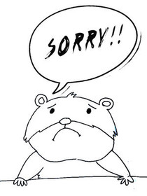 Sorry Sad Frog Apology Card