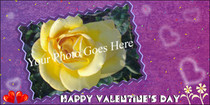 Yellow Rose Valentine's Day Card