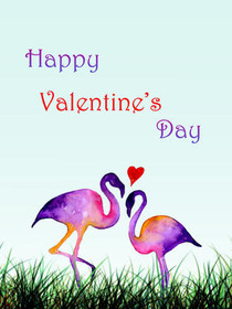 Happy Valentine's Day Flamingos