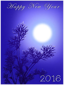 Happy New Year 2016 Moonlight