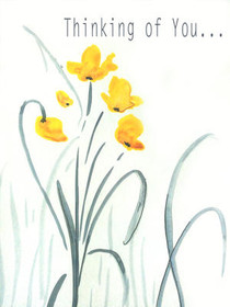 Thinking of You Daffodils