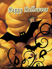 Happy Halloween Bat Card